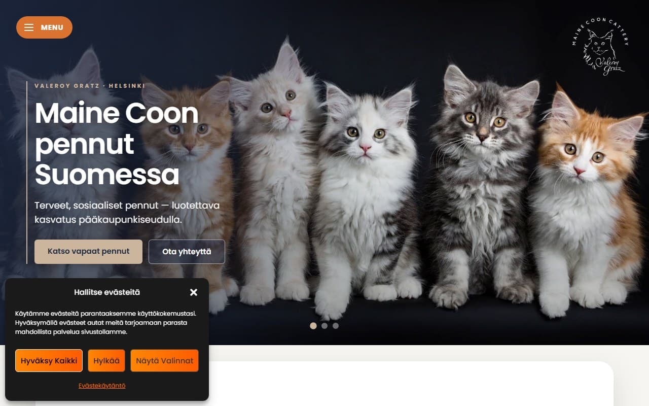 Maine Coon Cat kasvattaja verkkosivu Suomessa — Maine Coon -kissakasvatus ja pentuja